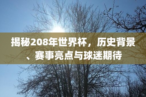 揭秘208年世界杯，历史背景、赛事亮点与球迷期待