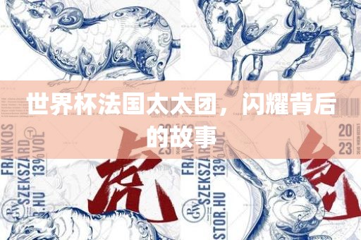 世界杯法国太太团，闪耀背后的故事