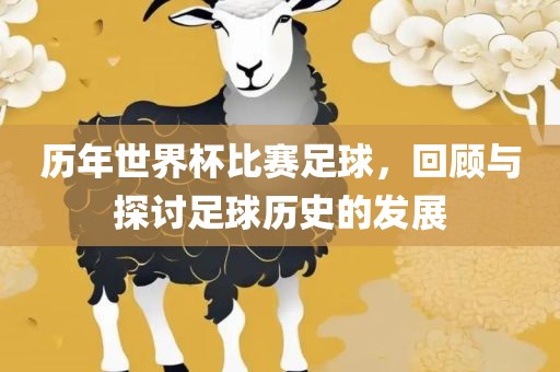 历年世界杯比赛足球，回顾与探讨足球历史的发展