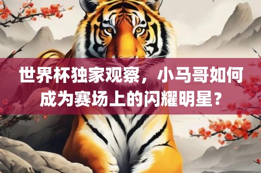 世界杯独家观察，小马哥如何成为赛场上的闪耀明星？