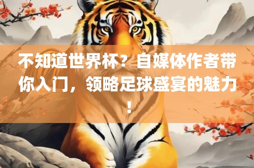 不知道世界杯？自媒体作者带你入门，领略足球盛宴的魅力！