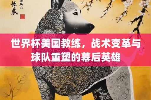 世界杯美国教练，战术变革与球队重塑的幕后英雄
