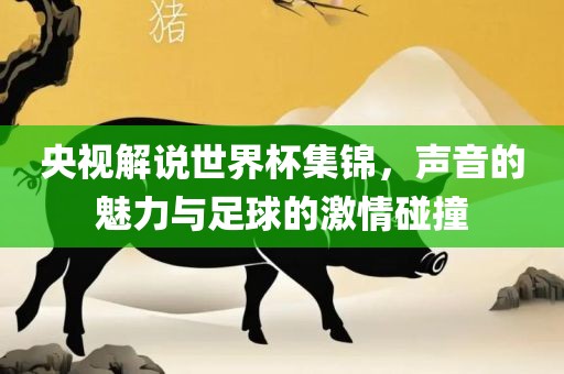 央视解说世界杯集锦，声音的魅力与足球的激情碰撞