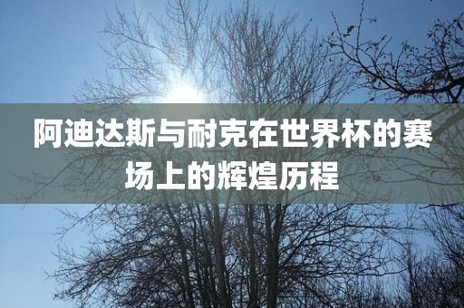 阿迪达斯与耐克在世界杯的赛场上的辉煌历程