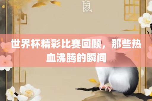世界杯精彩比赛回顾，那些热血沸腾的瞬间