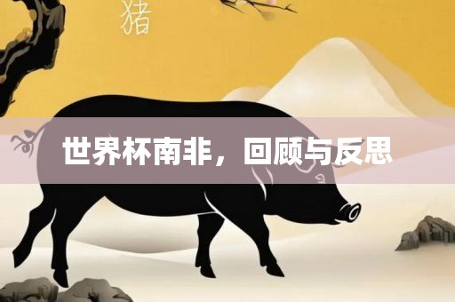 世界杯眉山市正发家政服务有限公司南非，回顾与反思