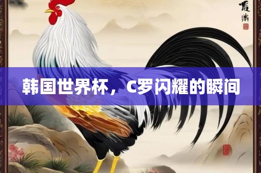 韩国世界杯，C罗闪耀的瞬间