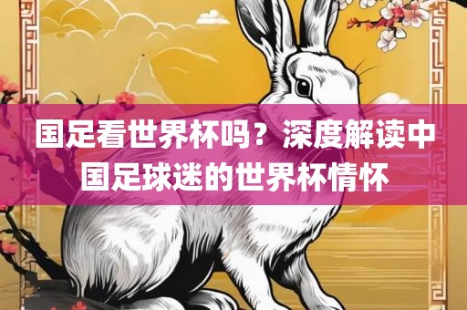 国足看世界杯吗？深度解读中国足球迷的世界杯情怀