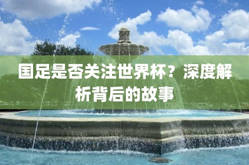 国足是否关注世界杯？深度解析背后的故事