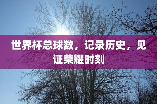 世界杯总球数，记录历史，见证荣耀时刻