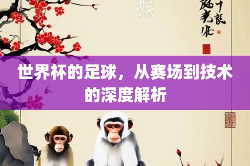 世界杯的足球，从赛场到技术的深度解析