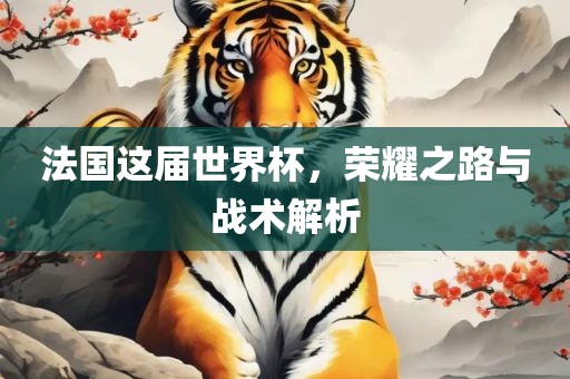 法国这届世界杯，荣耀之路与战术解析