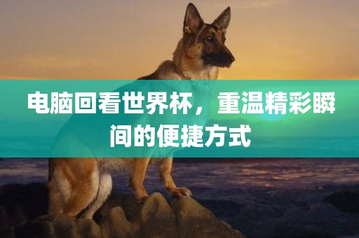 电脑回看世界杯，重温精彩瞬间的便捷方式