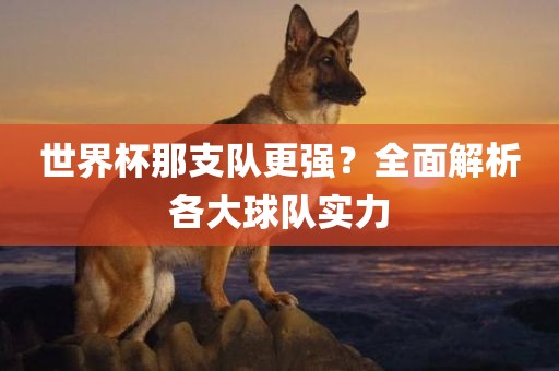 世界杯那支队更强？全面解析各大球队实力