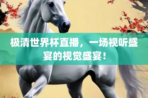 极清世界杯直播，一场视听盛宴的视觉盛宴！