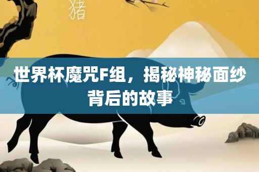 世界杯魔咒F组，揭秘神秘面纱背后的故事