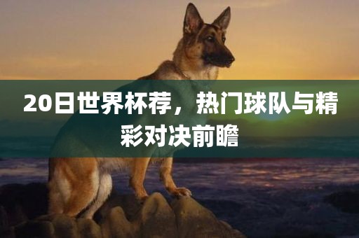 20日世界杯荐，热门球队与精彩对决前瞻