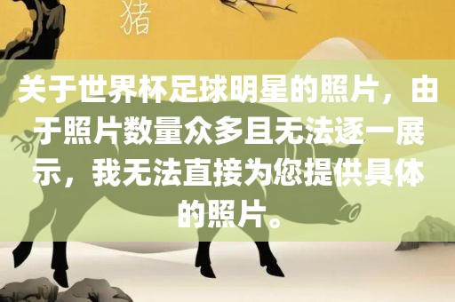 关于世界杯足球明星的照片，由于照片数量众多且无法逐一展示，我无法直接为您提供具体的照片。