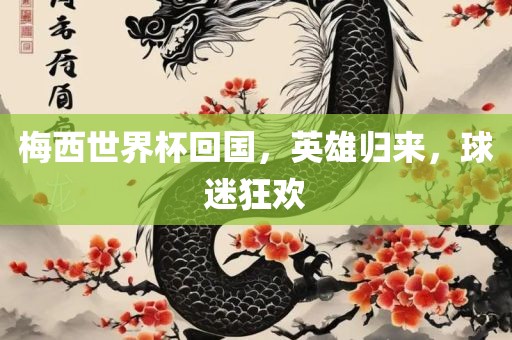 梅西世界杯回国，英雄归来，球迷狂欢