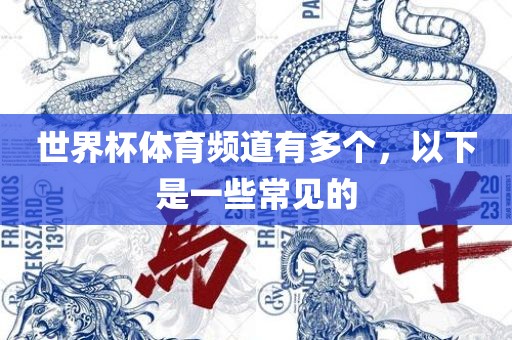 世界杯体育频道有多个，以下是一些常见的