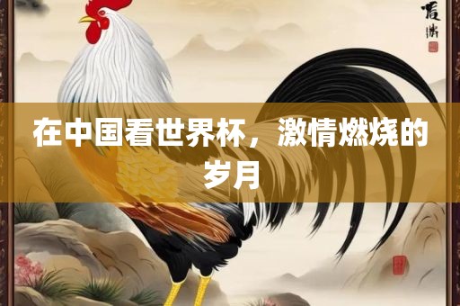 在中国看世界杯，激情燃烧的岁月