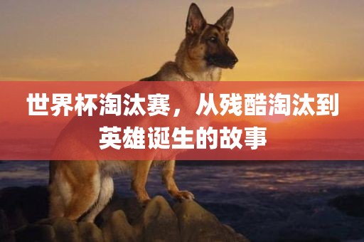 世界杯淘汰赛，从残酷淘汰到英雄诞生的故事