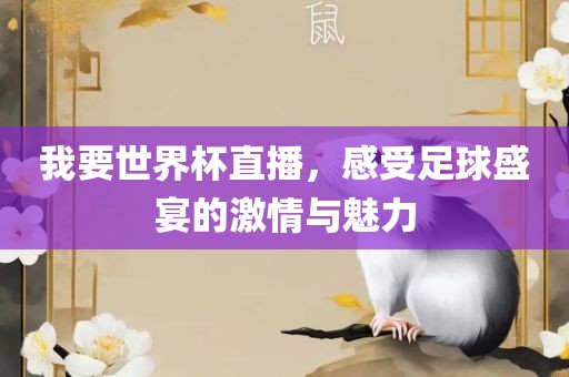 我要世界杯直播，感受足球盛宴的激情与魅力