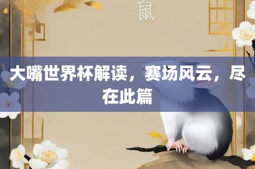 大嘴世界杯解读，赛场风云，尽在此篇