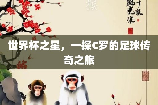 世界杯之星，一探C罗的足球传奇之旅