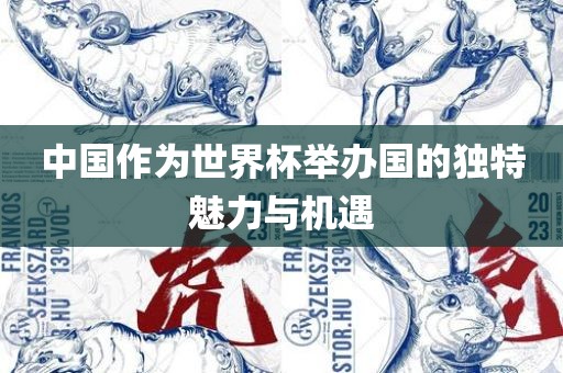 中国作为世界杯举办国的独特魅力与机遇