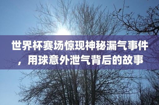 世界杯赛场惊现神秘漏气事件，用球意外泄气背后的故事