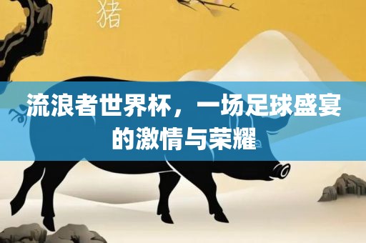 流浪者世界杯，一场足球盛宴的激情与荣耀