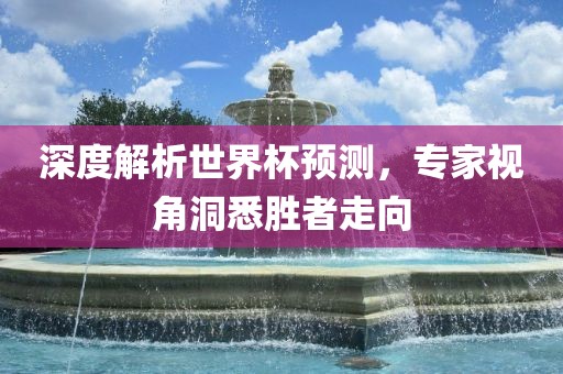 深度解析世界杯预测，专家视角洞悉胜者走向