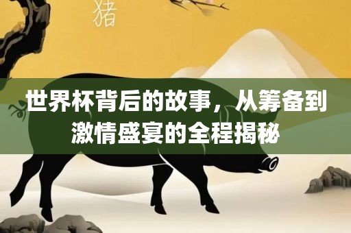 世界杯背后的故事，从筹备到激情盛宴的全程揭秘