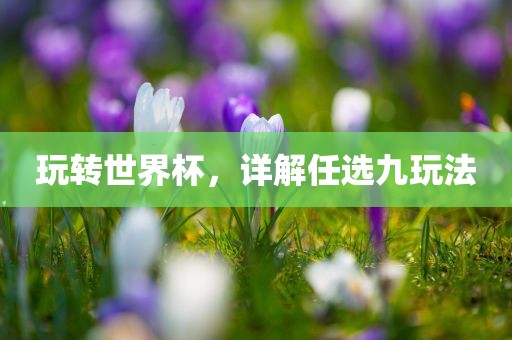 玩转世界杯，详解任选九玩法