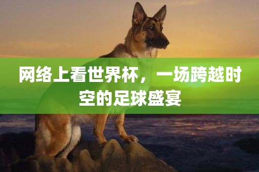 网络上看世界杯，一场跨越时空的足球盛宴