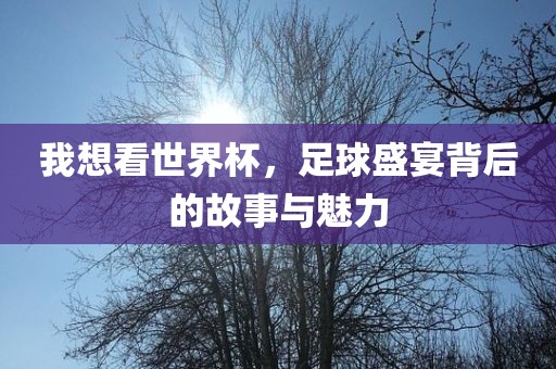 我想看世界杯，足球盛宴背后的故事与魅力