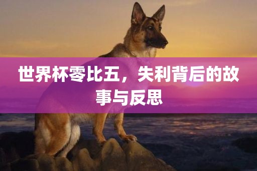 世界杯零比五，失利背后的故事与反思