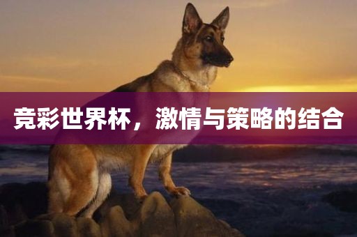 竞彩世界杯，激情与策略的结合