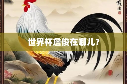 世界杯詹俊在哪儿？