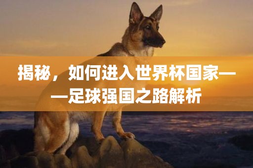 揭秘，如何进入世界杯国家——足球强国之路解析