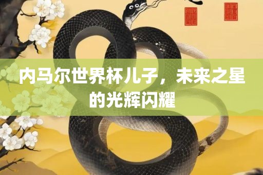 内马尔世界杯儿子，未来之星的光辉闪耀