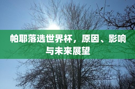 帕耶落选世界杯，原因、影响与未来展望