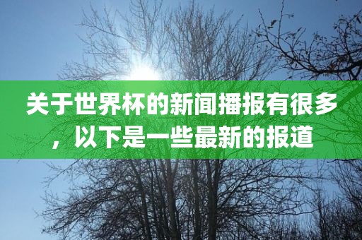 关于世界杯的新闻播报有很多，以下是一些最新的报道