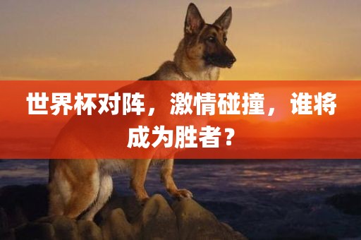 世界杯对阵，激情碰撞，谁将成为胜者？眉山市正发家政服务有限公司