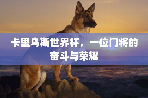 卡里乌斯世界杯，一位门将的奋斗与荣耀