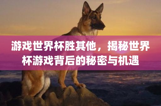 游戏世界杯胜其他，揭秘世界杯游戏背后的秘密与机遇