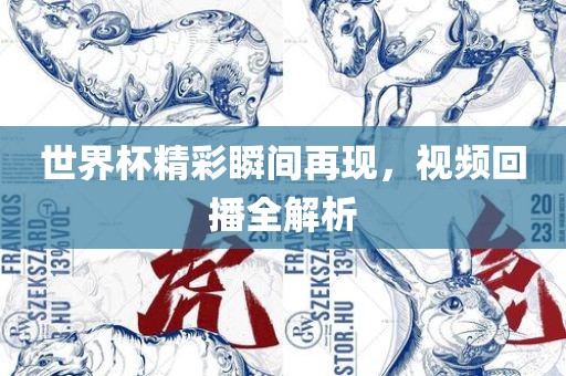 世界杯精彩瞬间再现，视频回播全解析