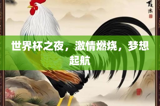 世界杯之夜，激情燃烧，梦想起航