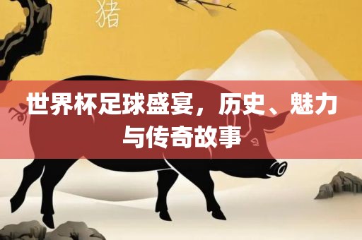 世界杯足球盛宴，历史、魅力与传奇故事眉山市正发家政服务有限公司